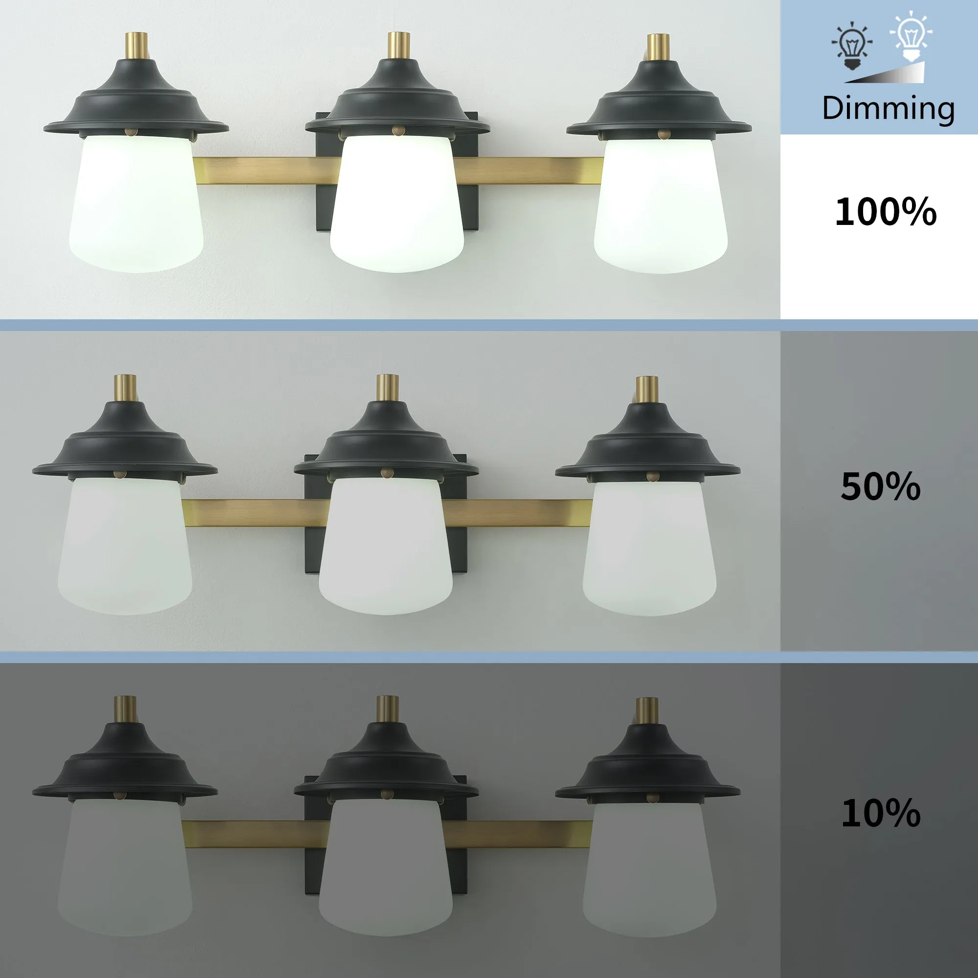 ExBrite 24.5" Farmhouse LED Vanity Light Fixture with Dimmable Switch & Tri-Color Settings