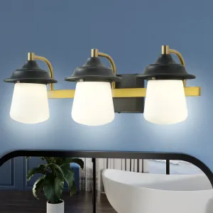 ExBrite 24.5" Farmhouse LED Vanity Light Fixture with Dimmable Switch & Tri-Color Settings