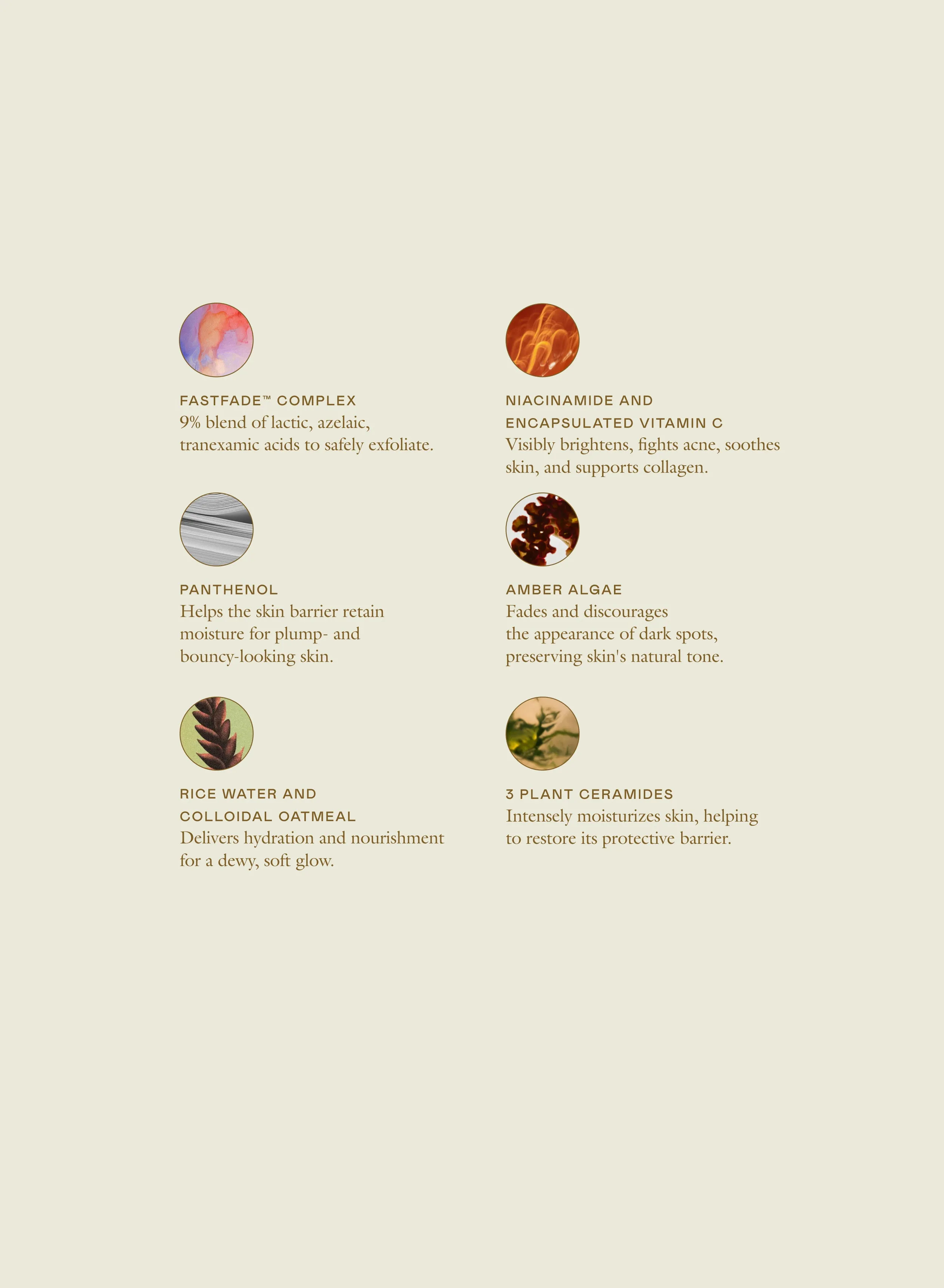 The Skin Renewal Set